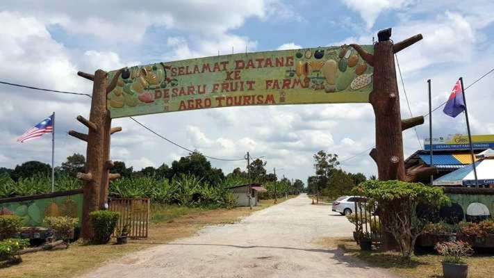 Desaru 16Pax Family With Private Mini Pool & Jacuzzi Villa Kota Tinggi Bagian luar foto